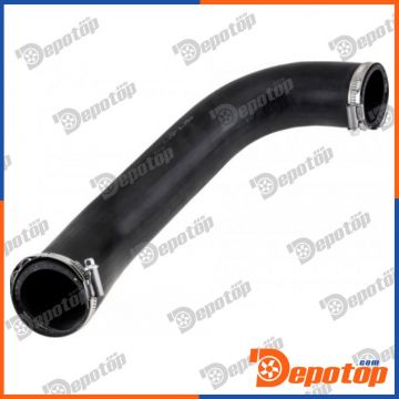 Gaine de suralimentation pour CITROEN | GPP-CT-022, 09-0109